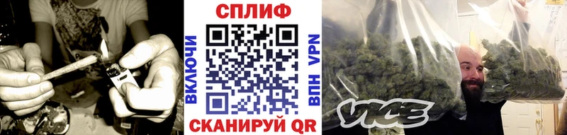 Бошки марихуана тримм  цены   Пушкино 